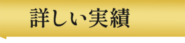 詳しい実績